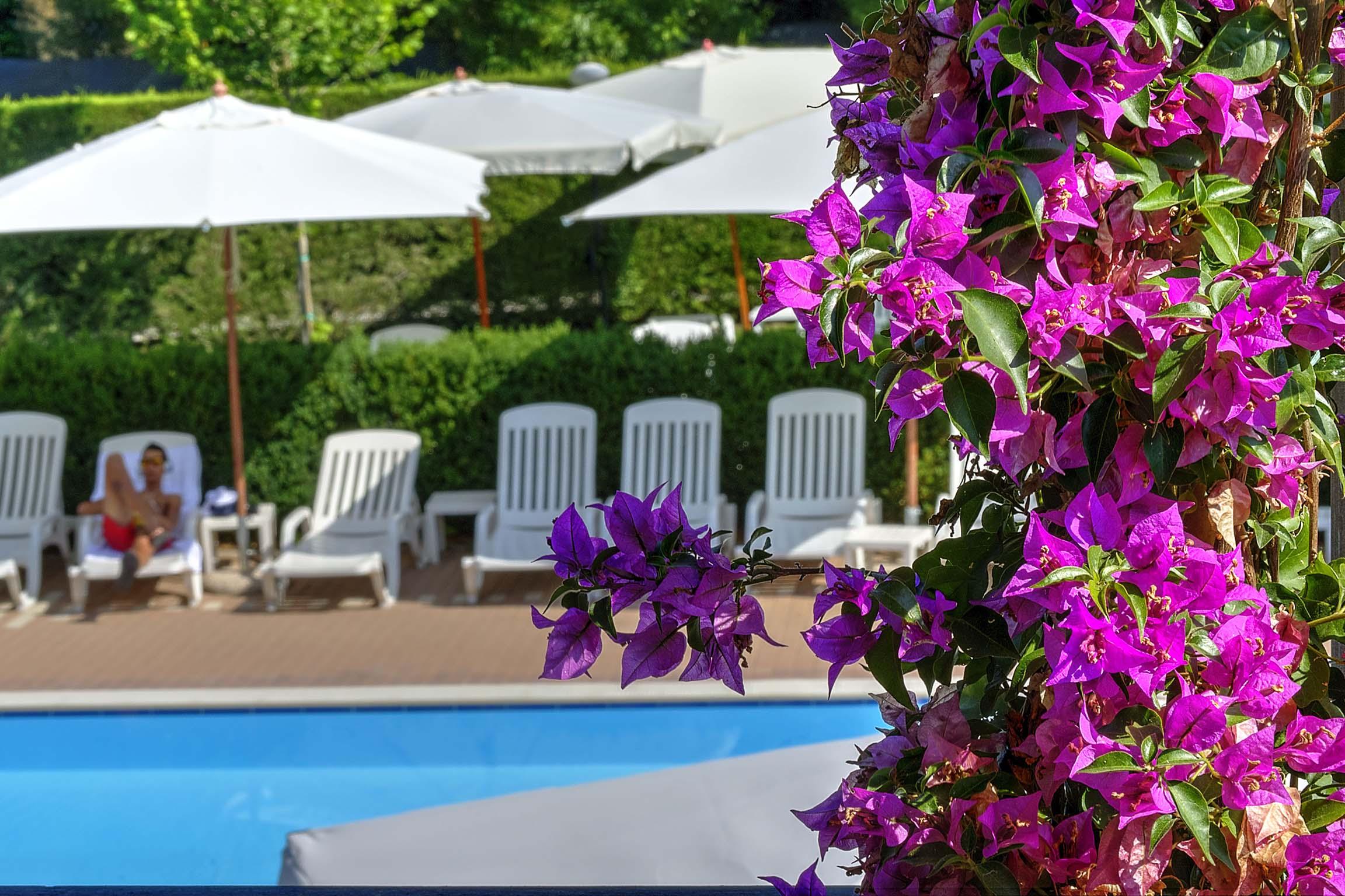 Flaminio Village Park Camping Rome